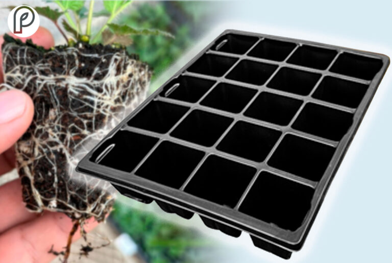 Bandejas de germinación